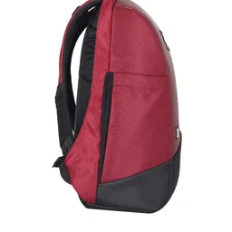 Arctic Fox Colourblocked Medium Backpack image 5