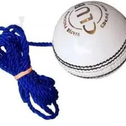 appss sports Cricket Hnaging Ball Cricket Training Ball-picture-16