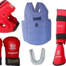 goodwin KARATE KIT RED L Boxing Kit Boxing Kit-picture-20