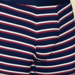 XYXX Men Striped Micro Modal Linea Trunks- XYTRNK147 image 4