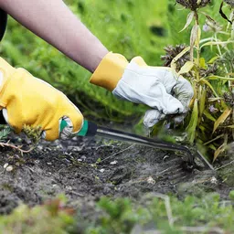 hasthip Weeder Hand Tool 40cm Garden Weeding Tool Steel 6-Claws Weeder Hand Tool Garden Tool Kit image 5