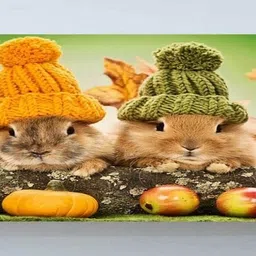 asd Air Conditioner Cover image 3