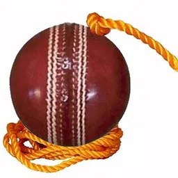 vixen Knocking/Practice ball Cricket Cricket Training Ball image 2