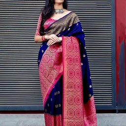 Aldwych Polka Dot Zari Banarasi Saree-picture-12