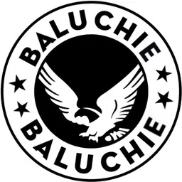 baluchie Men Casual, Formal Black Artificial Leather Belt image 4