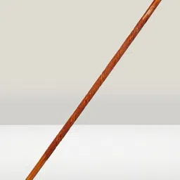 dakshcreation latu. Walking Stick-picture-24