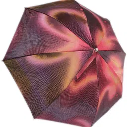 roseikon rids Flexible 2 Fold umbrella compact design preferred by men and women_X47 Umbrella image 3