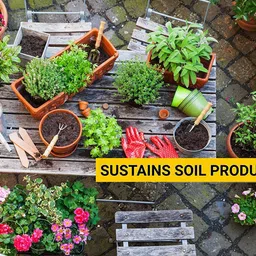 master green Neem Cake Powder for Plants |5KG | Neem Khali | Pure and Organic Fertilizer image 5