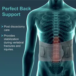 plutoex Lumbo Sacral Support Belt back pain relief for Men & Women, Back / Lumbar Support image 4