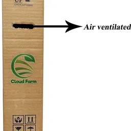 cloud farm Guava Plant image 4