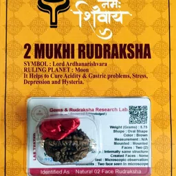 robin collection 2 Mukhi Genuine Nepali Rudraksha Two Faced Rudraksh Sterling Silver Beads Wood image 1