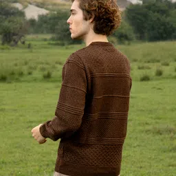 campus sutra Men Self Design Round Neck Brown Sweater image 3