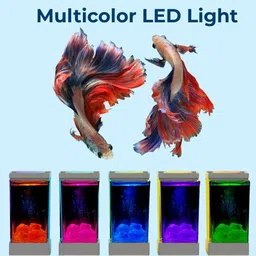 scroll store 1L Acrylic Betta Fish Tank | Mini Aquarium Tank with Multicolor LED Light Rectangle Aquarium Tank image 3