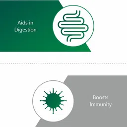 jain Amla ( Phyllanthus Emblica, Indian Gooseberry ) Powder image 3
