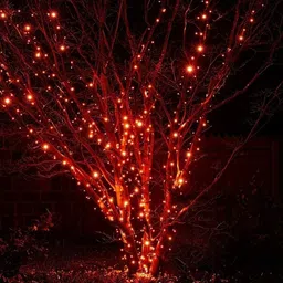 illuminator 40 LEDs 12 m Orange Steady Bulb Rice Lights image 3