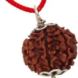 sukhalaya 7 Mukhi Rudraksha Seven Faced Nepali Rudraksh Original For Men and Women Silver Onyx Silver Pendant-picture-12