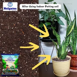 nelgates Indoor Potting Soil – Ready to Use for All Houseplants Soil image 3