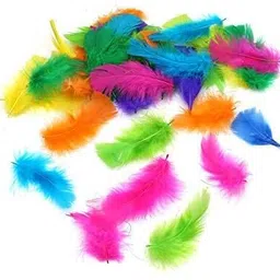 airtick (Pack of 80pcs) Multi-Purpose Natural Dyed Craft Feathers for Art & Craftworks image 3