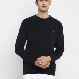 alan jones Men Solid Round Neck Blue Sweater-picture-14