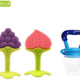 waheguru Infant Teether | Fruit Shape with Food Nibbler Teether-picture-20