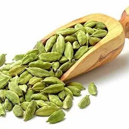 alogardening Elaichi/Cardamom Plant image 3