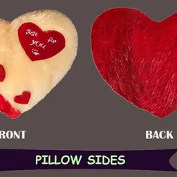 catchyx cart Microfibre Quotes Cushion Pack of 2 image 2