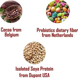 nutricharge COCOA PRODIET Plant-Based Protein image 5