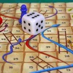 patrida india New Board Game-Snake & Ladders with color change Dice Educational Board Games image 3