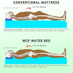 mcp Water Bed for Prevention Against Bed Sores Water Mattress for Patients Back / Lumbar Support image 5