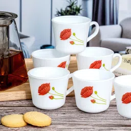 cello Opal Glass 6pcs Tea/Coffee Mug Set image 1