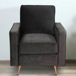 casacraft from pepperfry Antino Velvet 1 Seater Sofa In Charcoal Grey Finish-picture-32