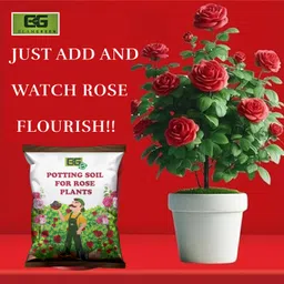 elamgreen Rose Potting Mix for Healthy Blooms Fertilizer image 5