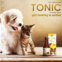 petheeds HeedoHep Liver Tonic combo with Lucious Chicken Flavor for Cat and Dogs Pet Health Supplements image 4