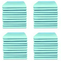 health track Disposable Underpad Pack of 40 pc Adult Diapers - L-picture-16
