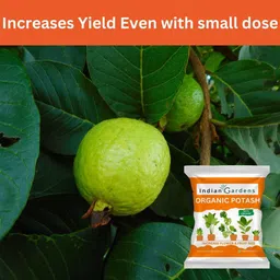 indian gardens Organic Potash fertilizer Fertilizer image 5