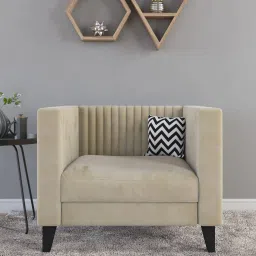 casacraft from pepperfry Alejandro Velvet 1 Seater Sofa In Bone White Colour image 1