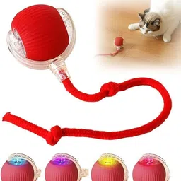 Plastic Training Aid For Dog & Cat-image-0