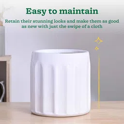 ugaoo Blushing Sun Large White Ceramic Planter image 4