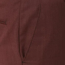 peter england Men Single Breasted Textured Suit image 4