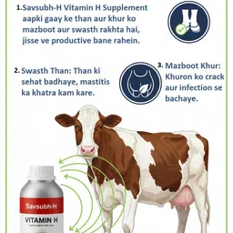 himalaya herbals Himcal Liquid Calcium 1Ltr with Vitamin H – Growth & Immunity Support Pet Health Supplements image 2