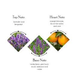 JACQUES BOGART Men Set of 2 Pour Homme Deodorant Body Spray - 200 ml Each image 3