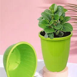 Kuber Industries Green & Blue 6 Pcs Textured Planters Pots-picture-24