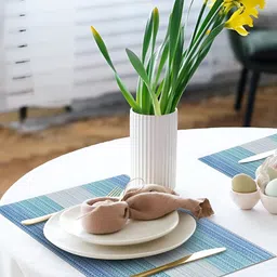 YELONA Blue & Green 8 Pieces Striped Rectangular Table Placemats image 1