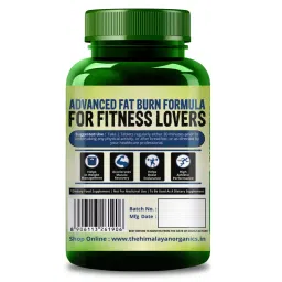 Weight Management | Himalayan Organics L-Carnitine 2000mg/Serve 120 Veg Tablets + Power Gummies The Beach Body with Green Coffee, 60 gummies, Orange Twist image 4