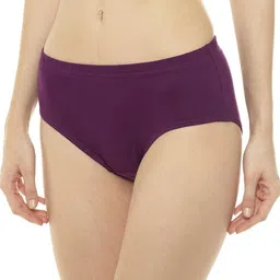 prithvi Pack of 3 Women Hipster Multicolor Panty image 3