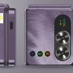 hotline ROYAL FLIP image 2