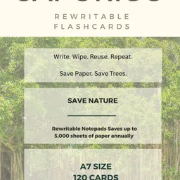 saporigo Rewritable Flash Card Business Card-picture-22