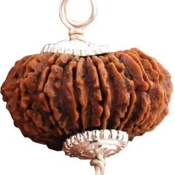 vegga 14 mukhi rudraksha nepali / 14 mukhi pendant Wood-picture-28