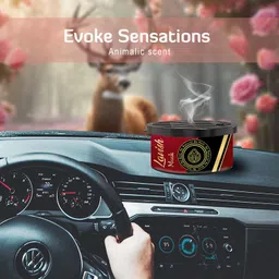 the old natural Lavish Musk Car Freshener Diffuser image 2