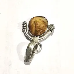 ram ratan kendra Mach Mani(Sea Stone) in Silver Locket(Lab Certified) Silver Plated Stone Chain image 3